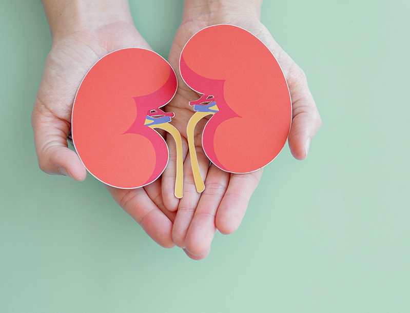 Living Kidney Donor Webinar: Health & Wellness Tips for Improving Donor Candidacy